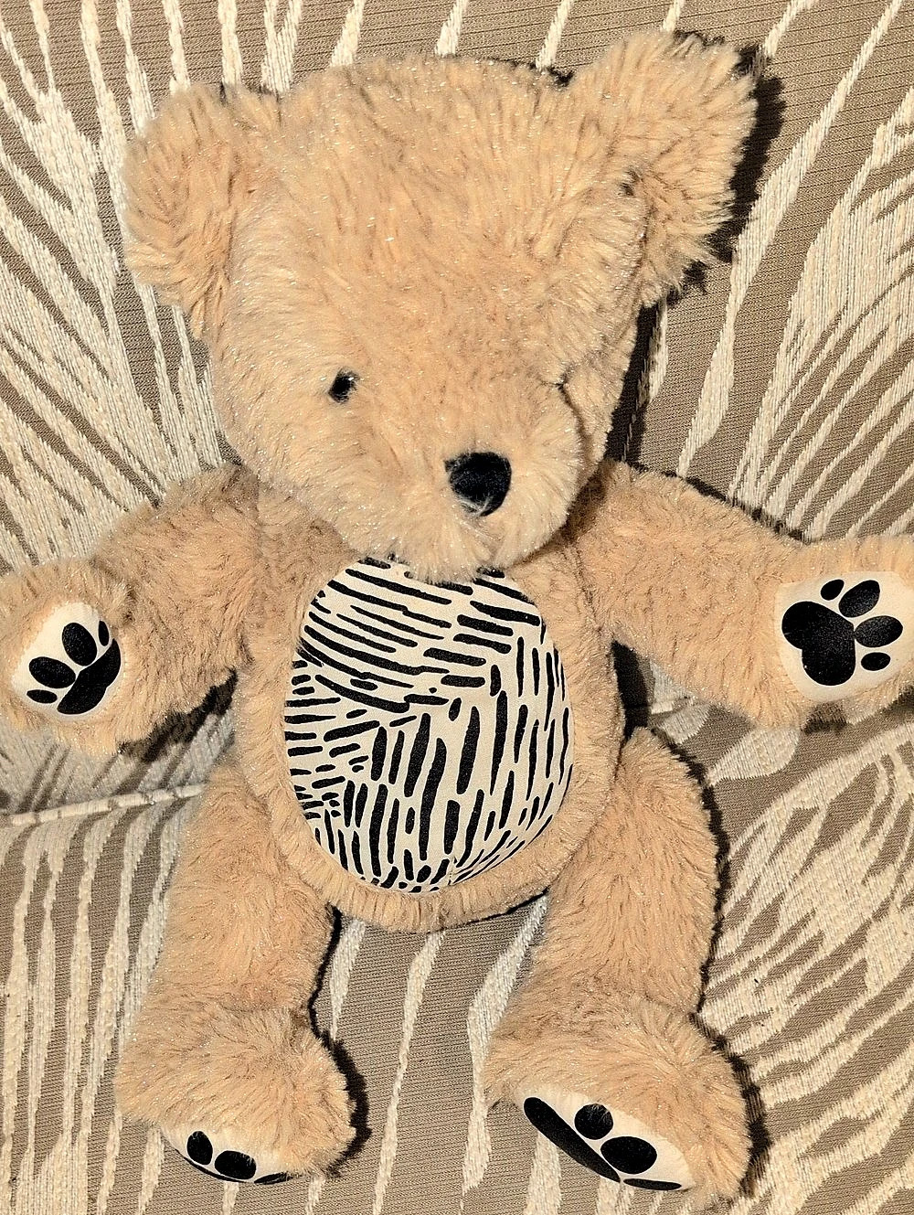 seedling Parker the Augmented Reality Bear Plush Brown & Black